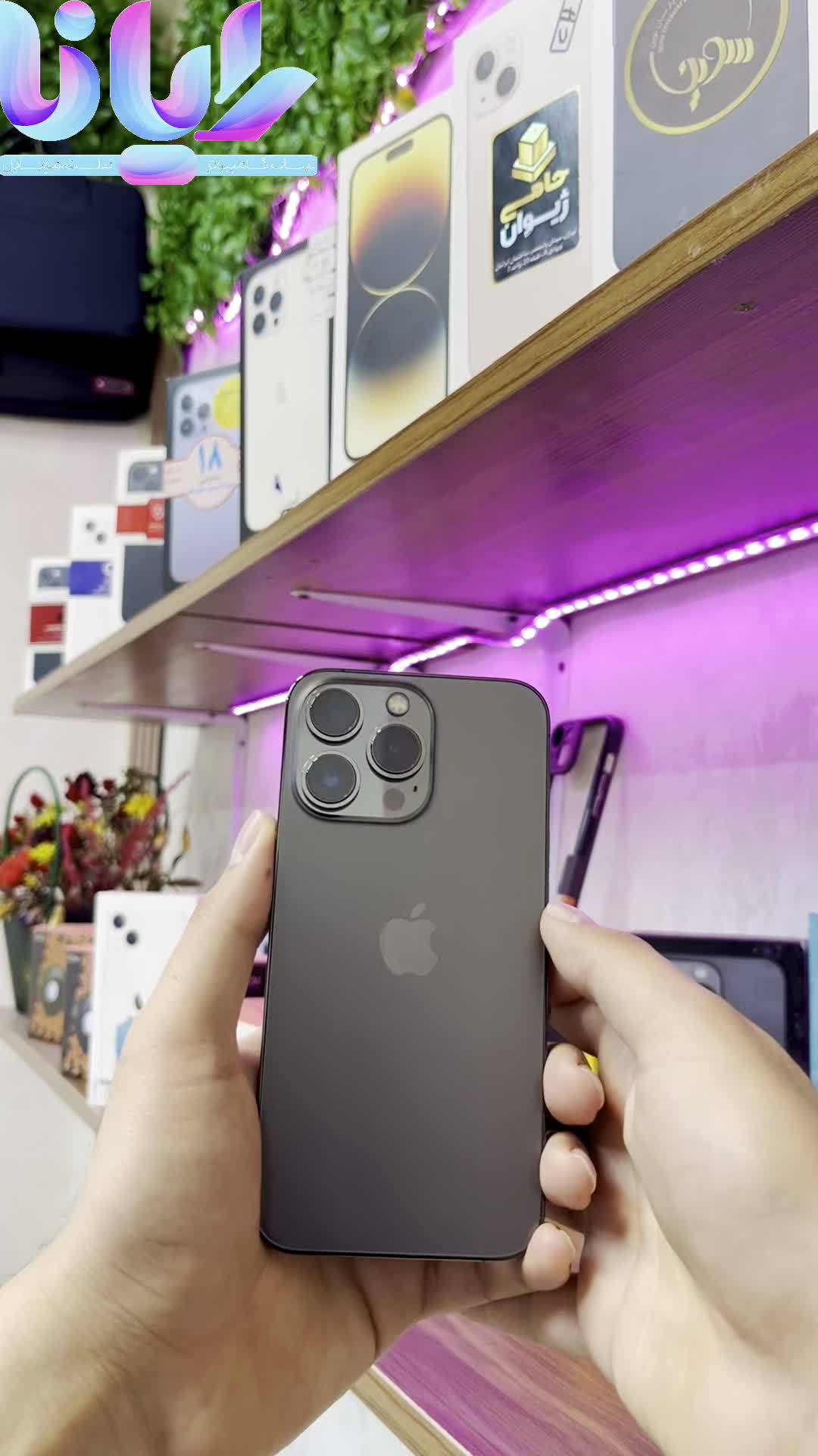 اپل آیفون ۱۳ پرو apple iphone|موبایل|قم, صفائیه|دیوار