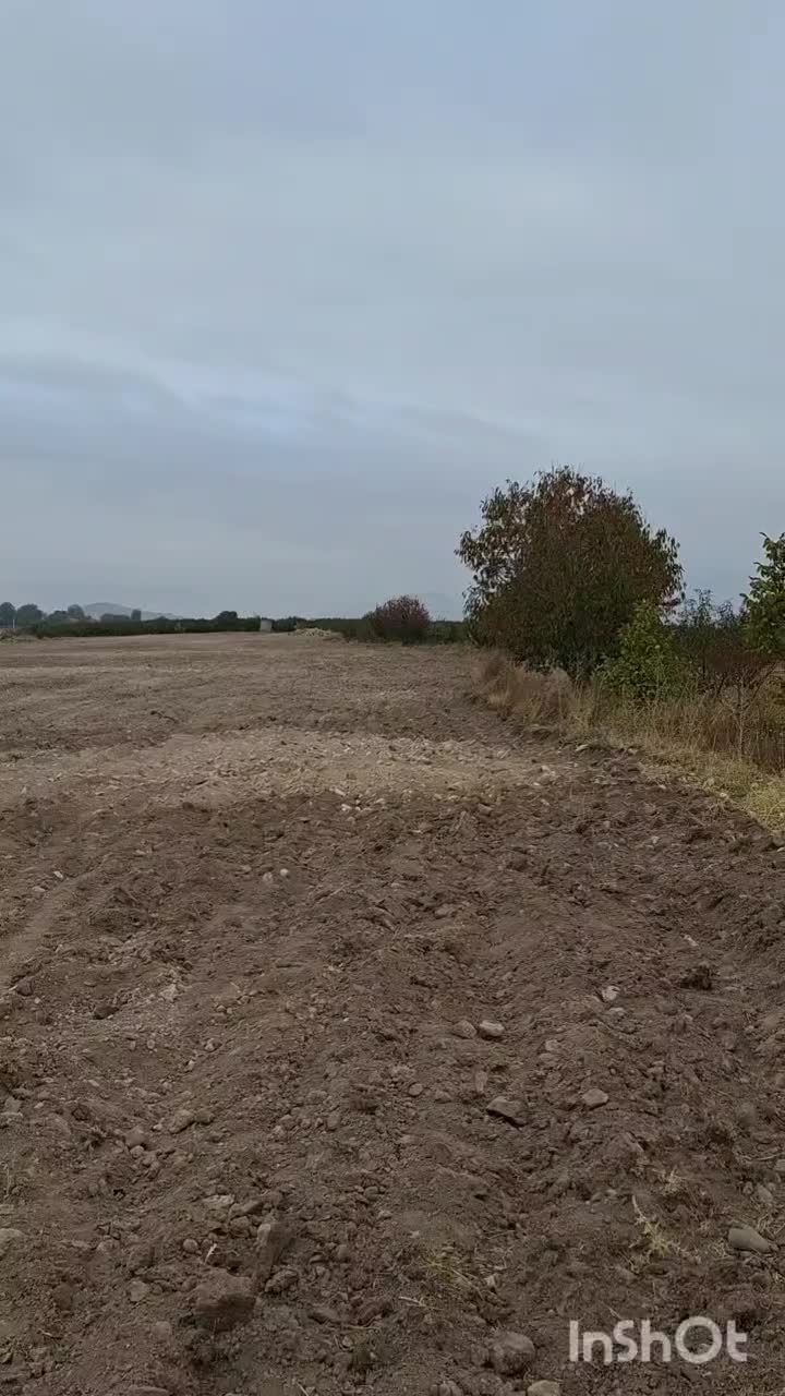 سنگ جمع کن|ماشین‌آلات صنعتی|مشگین شهر, |دیوار