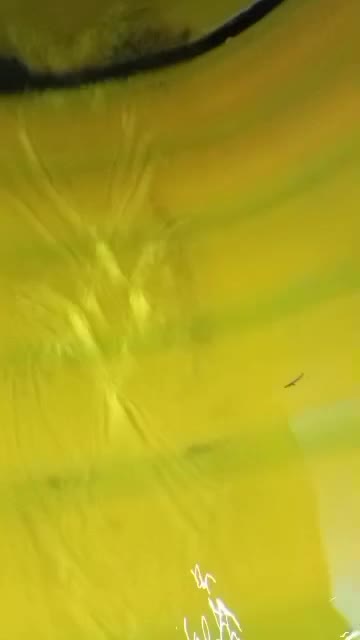 پیمانکار جدول و کفپوش هستم|استخدام معماری، عمران و ساختمانی|تهران, دردشت|دیوار