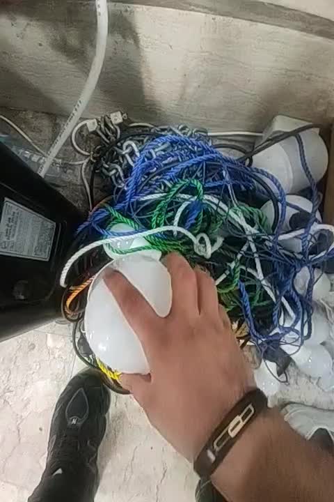 ریسه به همراه لامپ|ریسه و چراغ تزئینی|رشت, پاستوریزه|دیوار