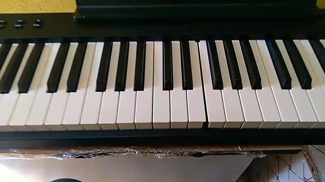 پیانو تاشو اصلی کونیکس|پیانو، کیبورد، آکاردئون|رشت, معلم|دیوار