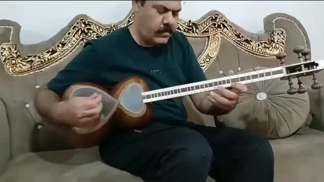 تار|سازهای سنتی|تهران, شهرک گلها (تهرانسر)|دیوار