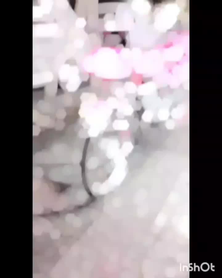 هندا 125|موتورسیکلت|مشهد, شهید بصیر|دیوار