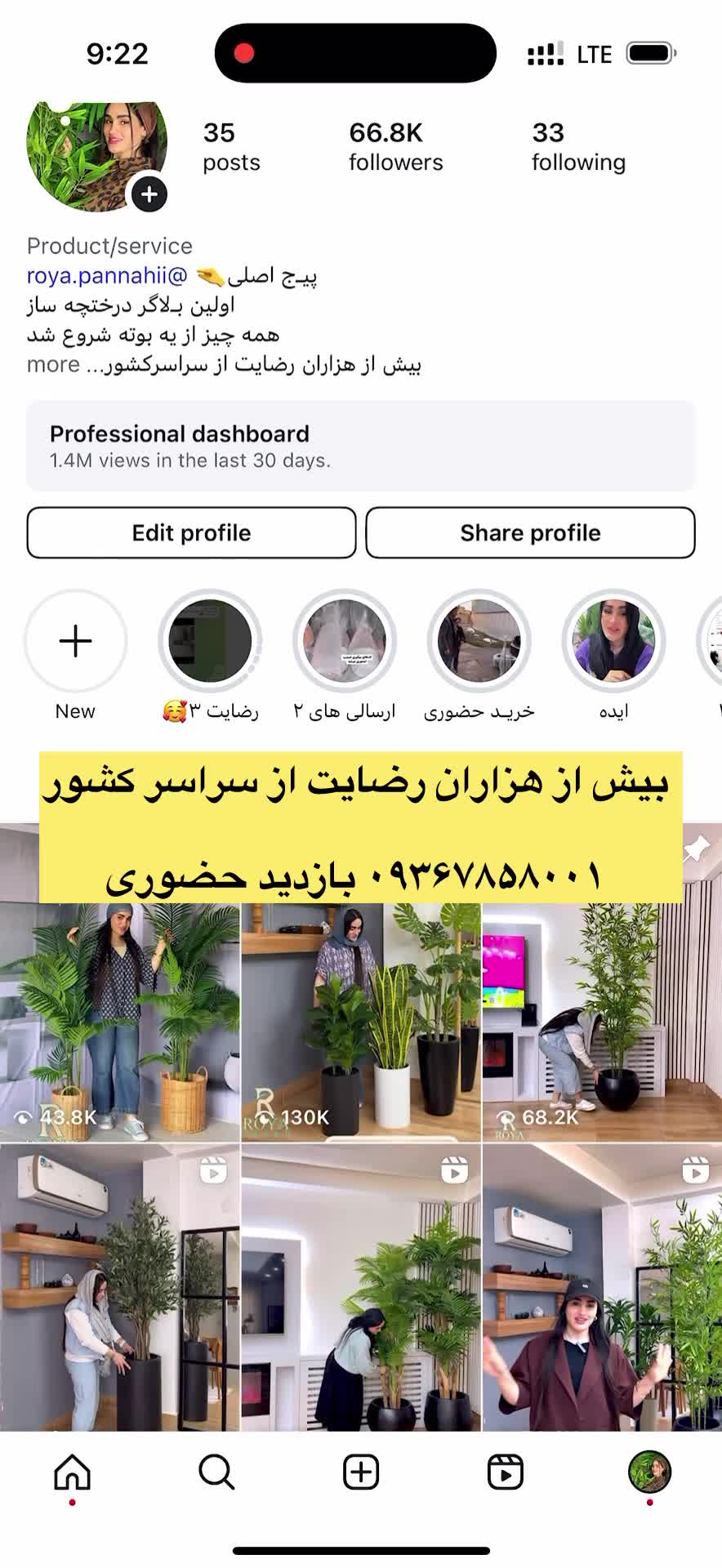 درختچه های مصنوعی وارداتی|گل مصنوعی|رشت, سلیمانداراب|دیوار