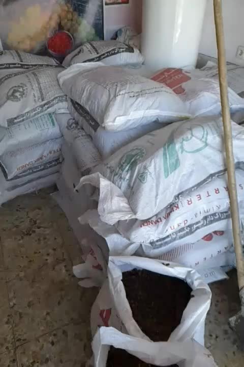 کشمش آفتابی خشک کاشمر گوشتی و درجه ۱ به شرط|خوردنی و آشامیدنی|نجف‌آباد, امیرآباد|دیوار