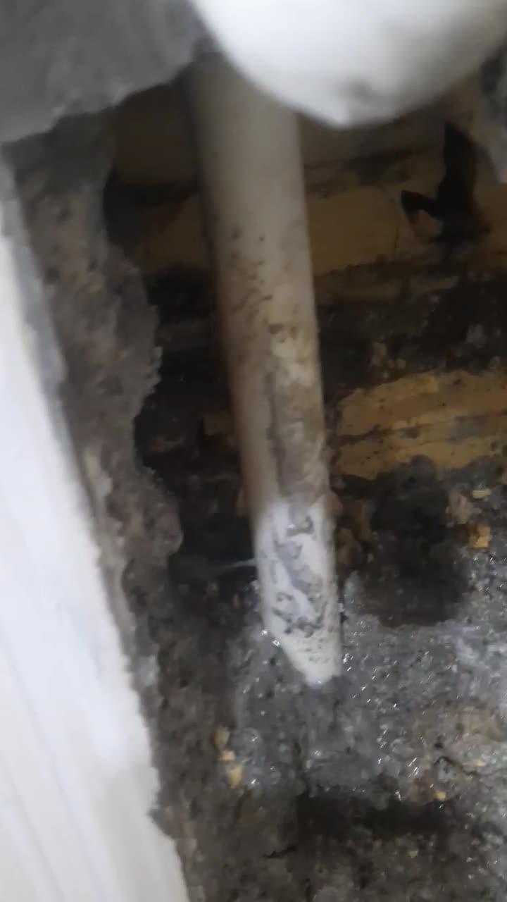 متخصص نشت یابی آب رفع نم سرویس ها تاسیسات لوله کشی|خدمات پیشه و مهارت|فردیس, فردیس|دیوار