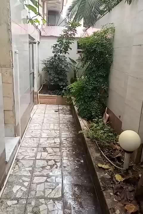 اجاره روزانه سوئیت|اجارهٔ کوتاهمدت آپارتمان و سوئیت|رشت, شهرک شهید رجایی|دیوار