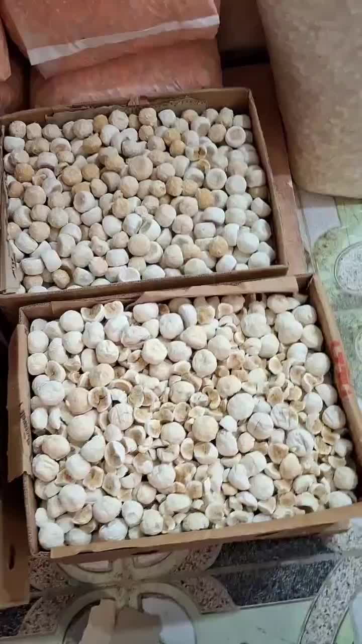 کشک|عمدهفروشی|تهران, حر|دیوار