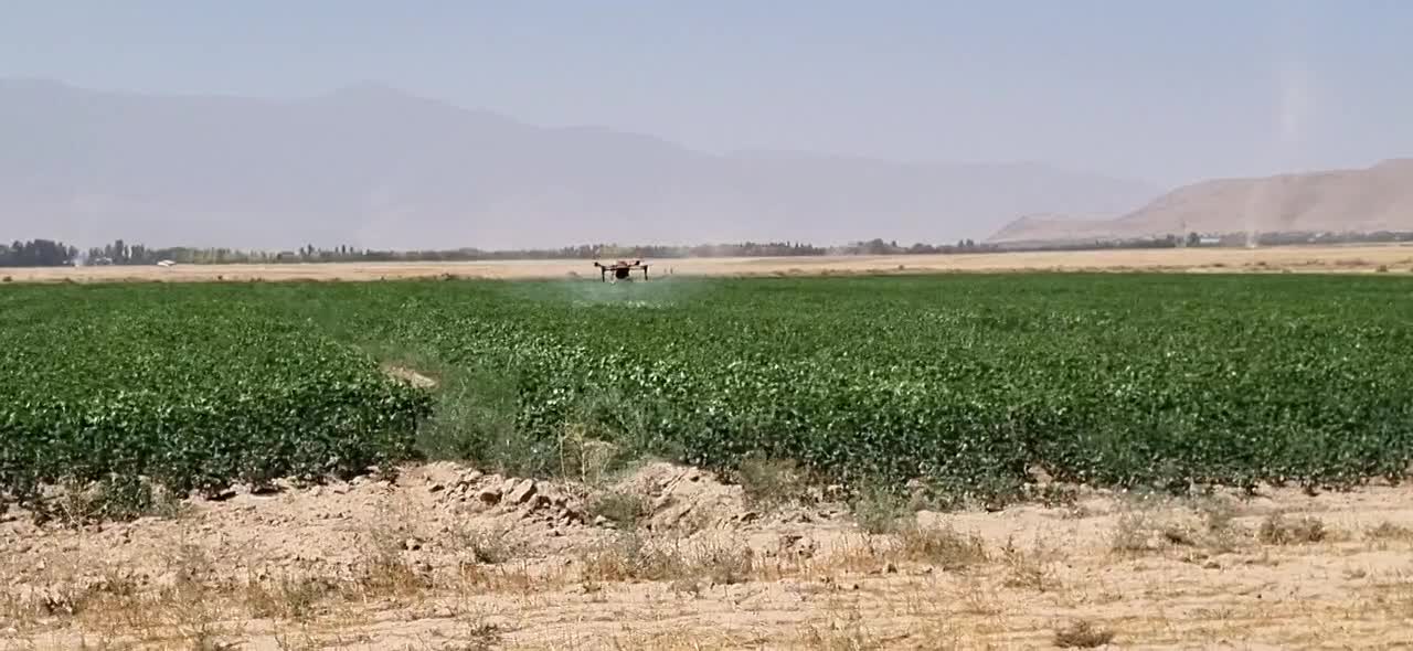 پهپاد سمپاش کشاورزی مدرن|خدمات باغبانی و درختکاری|اراک, |دیوار