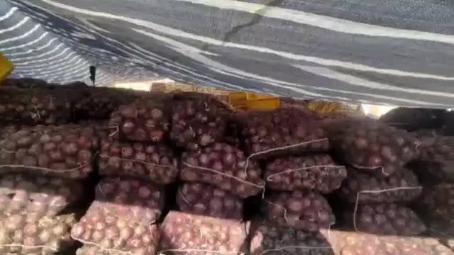 همکاری با صادرات و سرمایه گذاران پیاز لوکس بناب|خوردنی و آشامیدنی|بناب, |دیوار