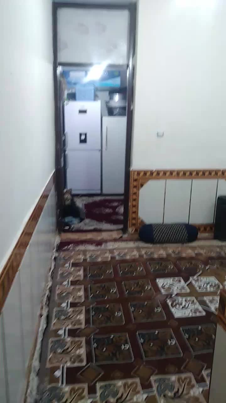 خانه۸۵متر درشلنگاباد خیابان ارشاد بین سروش وفرهانی|فروش خانه و ویلا|اهواز, کوی علوی|دیوار