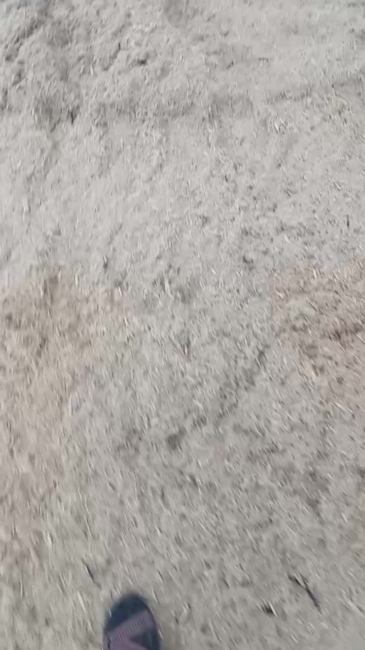 کاه نیشکر|عمده‌فروشی|رباط‌کریم, رباط‌کریم|دیوار