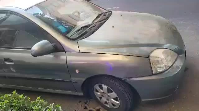 ریو کیا  سالم|خودرو سواری و وانت|تهران, امام حسین|دیوار