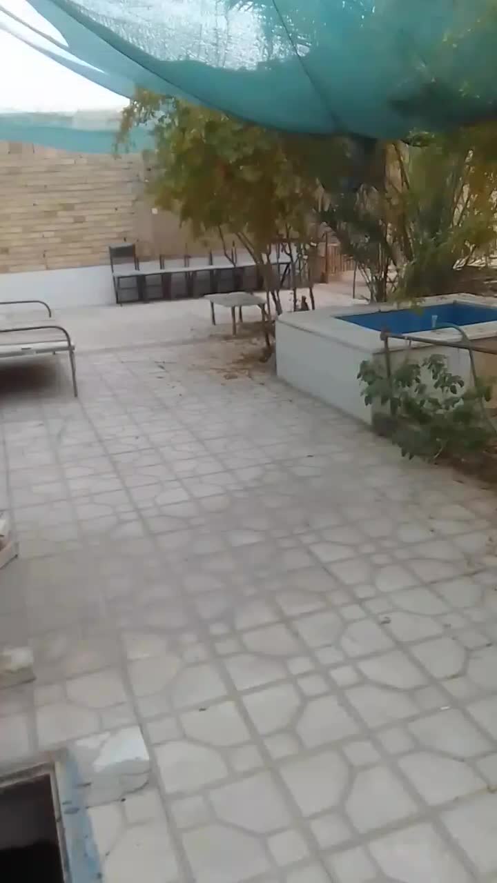 درخواست نیروی خدماتی و سرایداری|استخدام سرایداری و نظافت|یزد, |دیوار