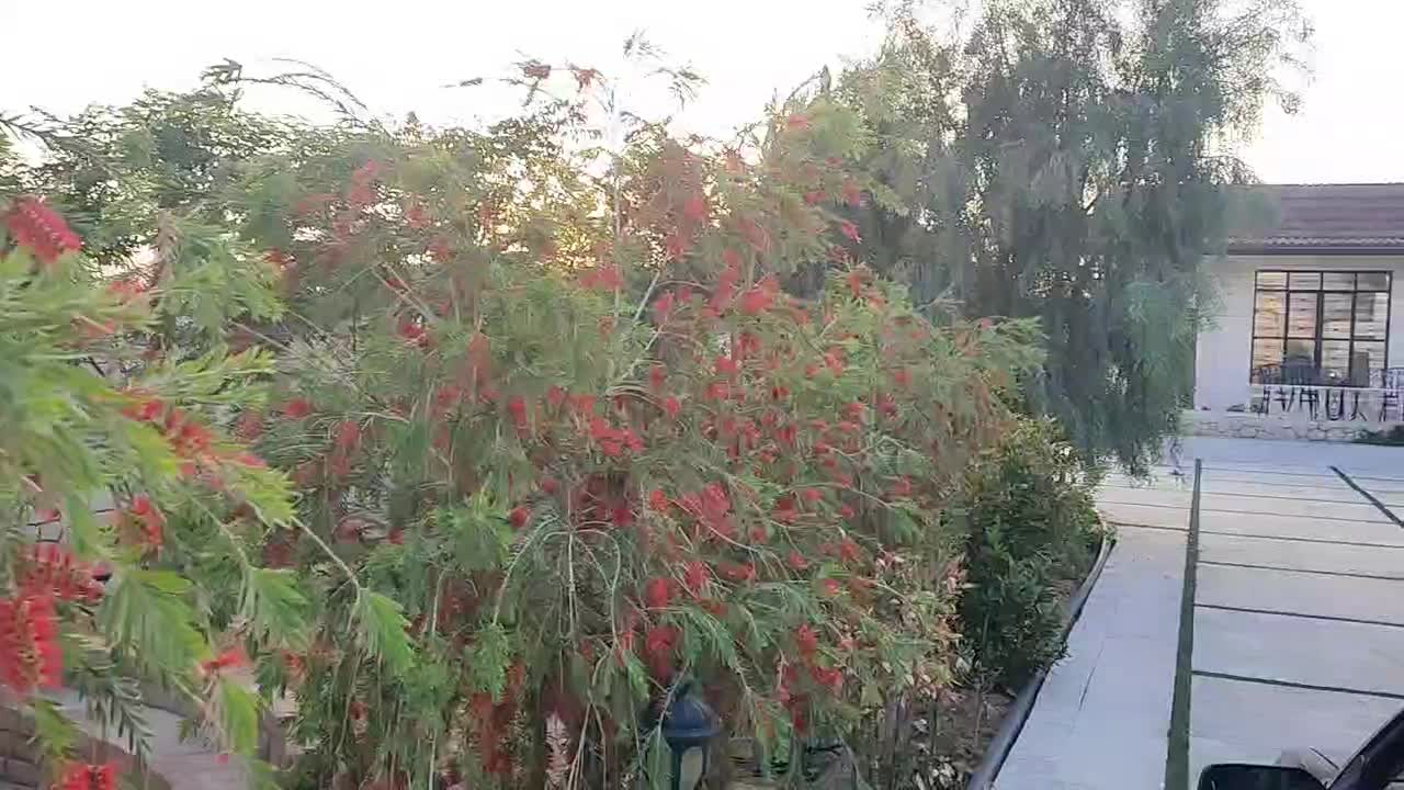 ویلا باغشهری نشاط|فروش خانه و ویلا|شیراز, بید زرد|دیوار