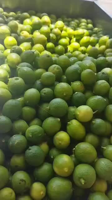 دستگاه،فول مطمئن،آبغوره-گیر آبلیمو-گیریk1آبگوجهH5|آبمیوه‌گیر و آب‌مرکبات‌گیر|مشهد, آبکوه|دیوار