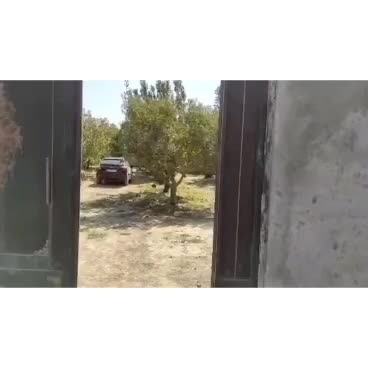 باغ توس ۹۷ معاوضه با خودرو|فروش زمین و ملک کلنگی|مشهد, صیدآباد|دیوار