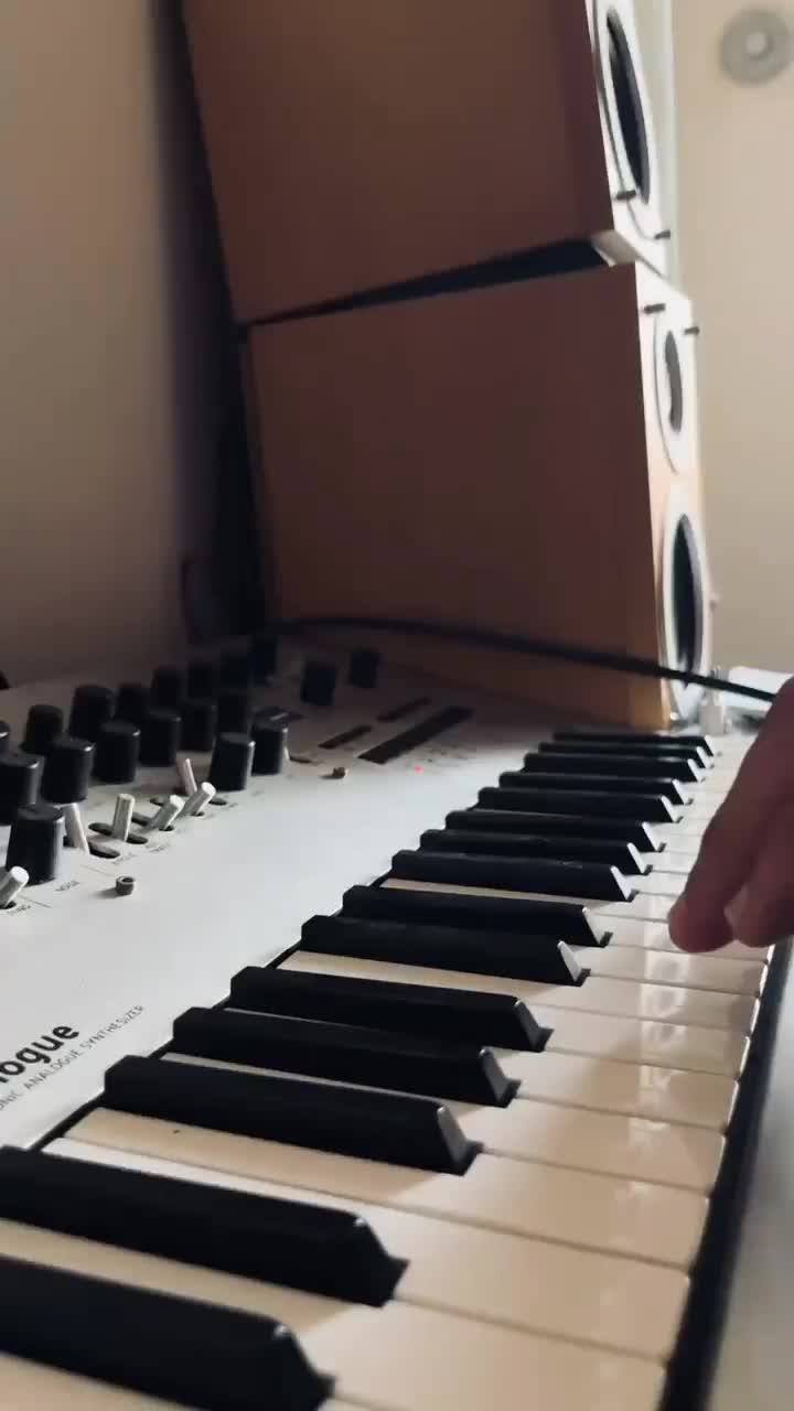 سینتی سایزر قدرتمند korg minilogue|پیانو، کیبورد، آکاردئون|رشت, شهرک صبا|دیوار