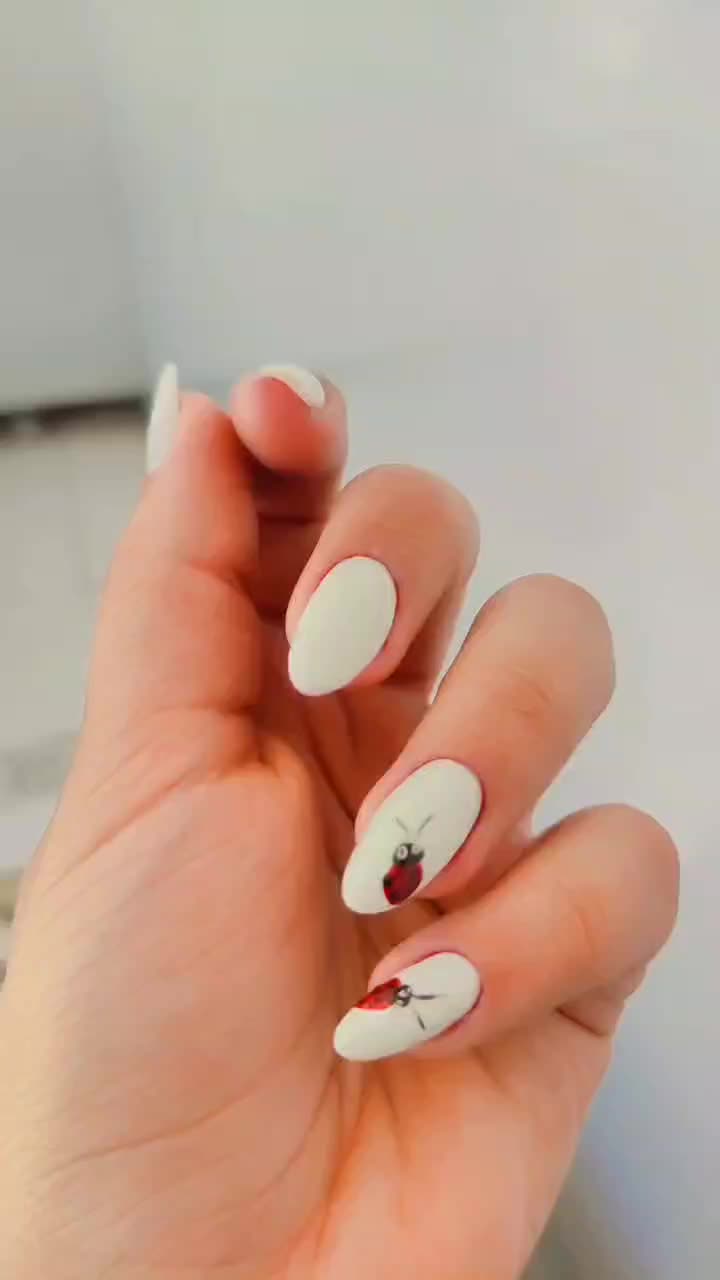 ارائه با کیفیت خدمات کاشت ناخن با سالن تک چهره|خدمات آرایشگری و زیبایی|بروجن, |دیوار