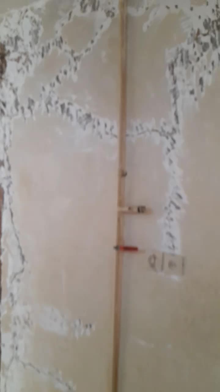 سمپاشی وریشه کنی موریانه.ساس بصورت خلاصی عمری|خدمات نظافت|سوسنگرد, |دیوار