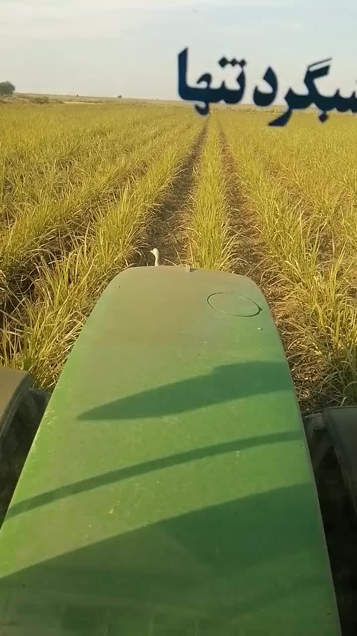 فروش تراکتورجاندیر 7710|خودرو سنگین|دزفول, |دیوار