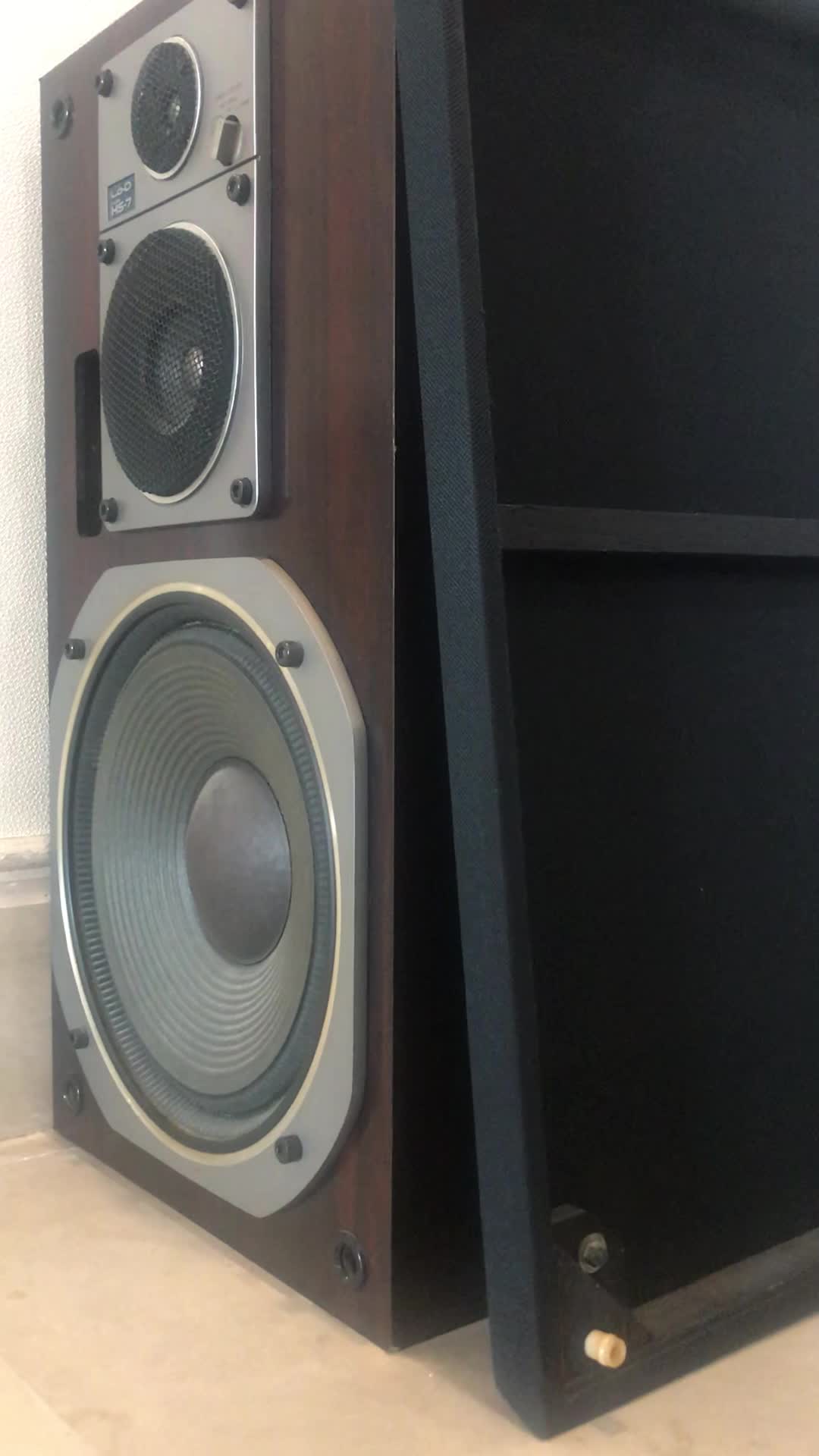 باند حرفه ای و خوش صدای LOD|سیستم صوتی خانگی|تهران, جمال‌زاده|دیوار