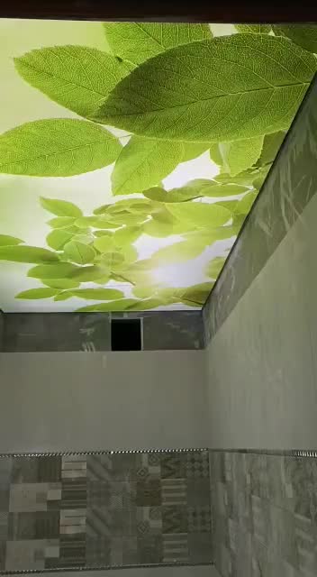 کناف ، سقف کاذب ۶۰ در ۶۰ و پی وی سی ، سقف کشسان|خدمات پیشه و مهارت|هشتگرد, هشتگرد قدیم|دیوار