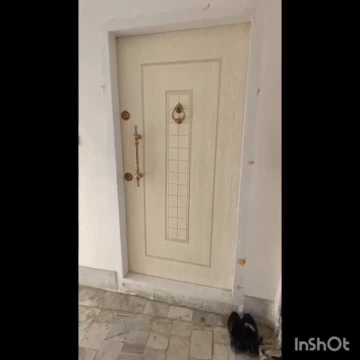 آپارتمان 75متری طبقه اول بلوار توس|فروش آپارتمان|مشهد, مهدی آباد (بلوار توس)|دیوار