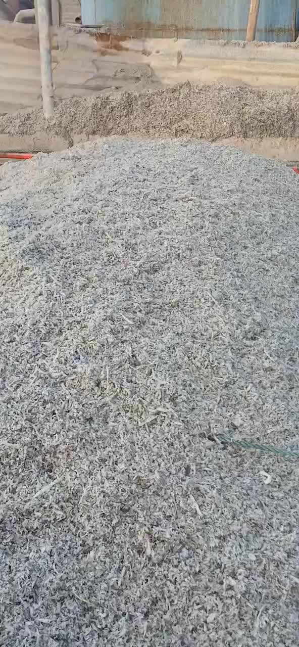 تفاله تر چغندر|لوازم جانبی حیوانات|اراک, |دیوار