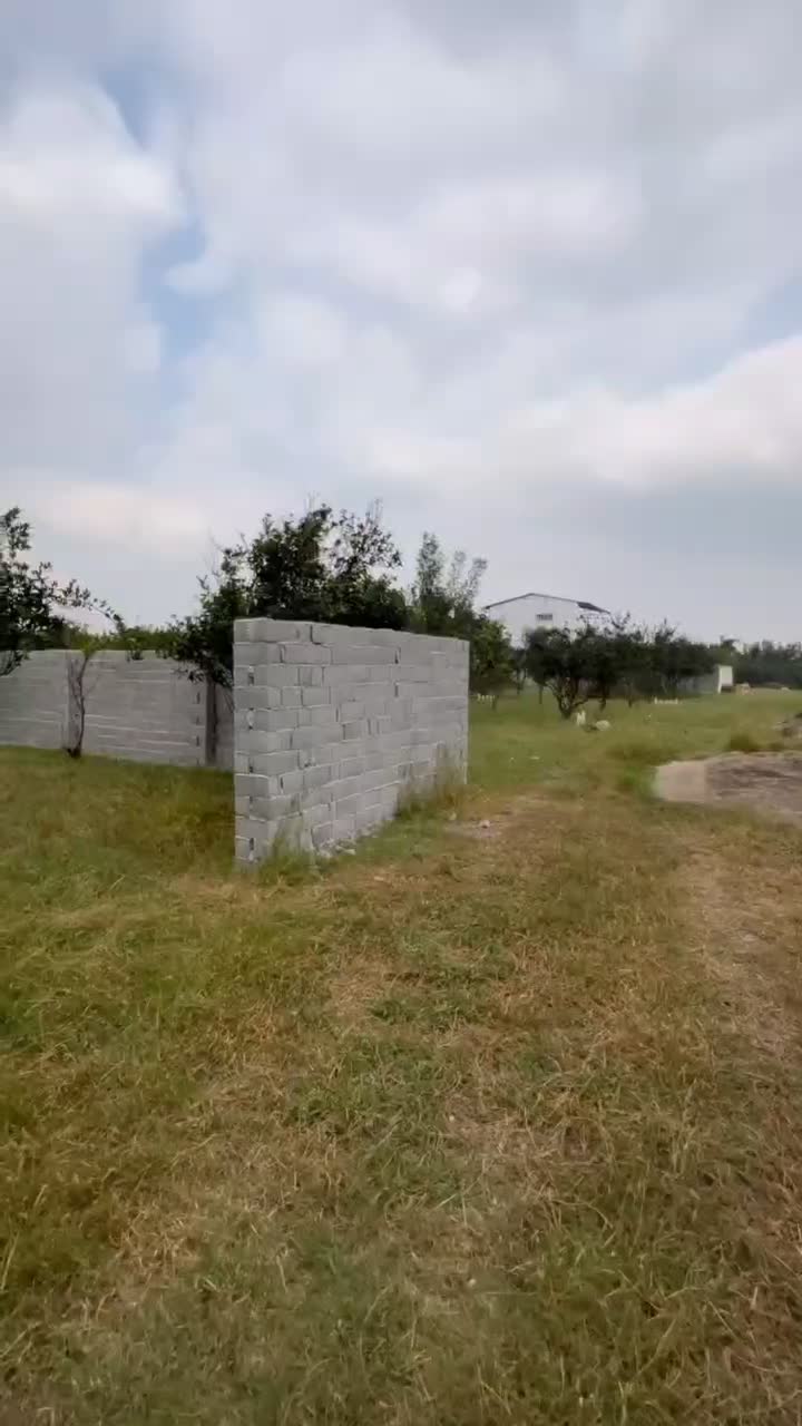 زمین۵۰۰متری سند/با بنای نیمساخته/با درختان پرتقال|فروش زمین و ملک کلنگی|امامزاده عبدالله, |دیوار