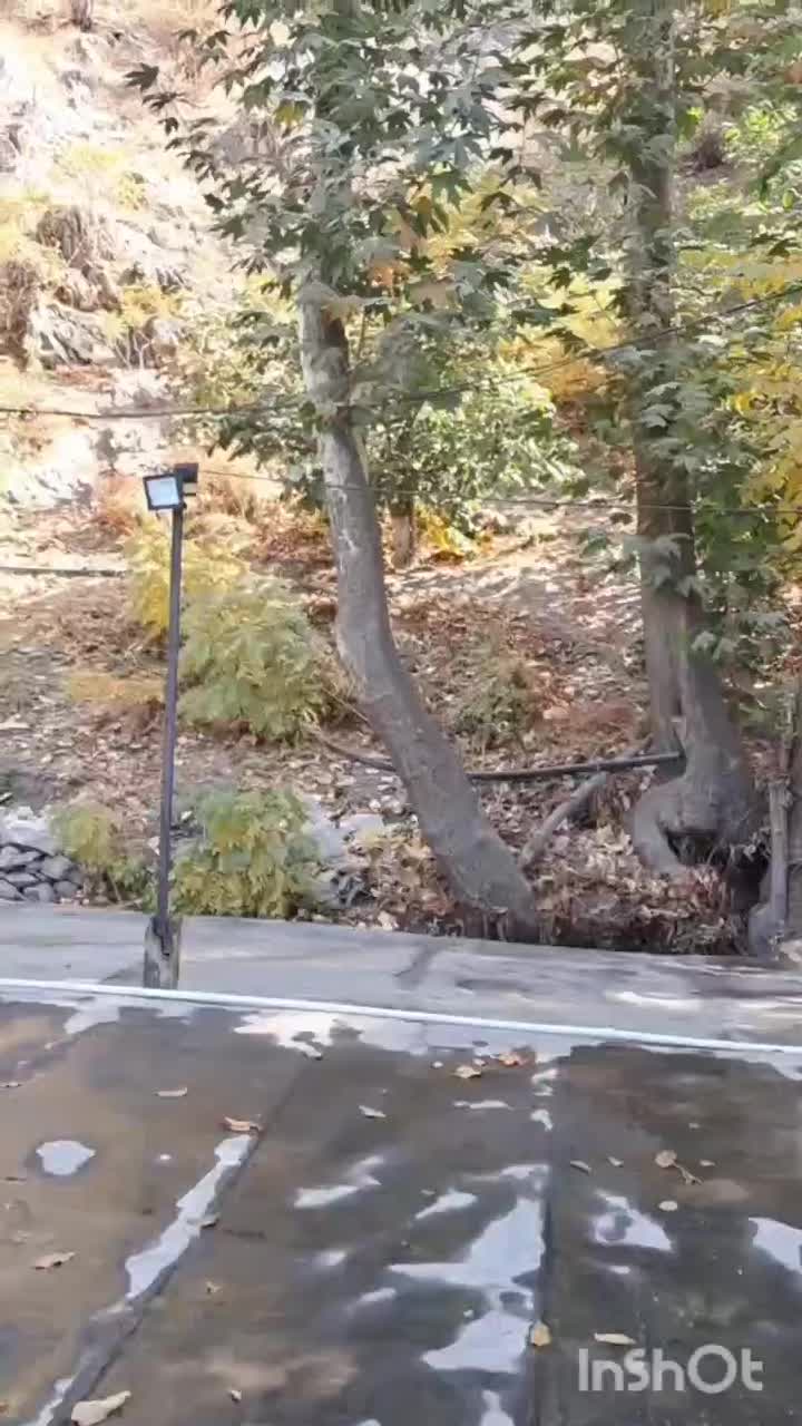 اجاره کلبه چوبی مجهزبه جکوزی|اجارهٔ کوتاهمدت آپارتمان و سوئیت|شاندیز, |دیوار