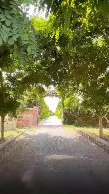اجاره روزانه/هفتگی/ماهانه ویلا ۲۲۰ متری|اجارهٔ کوتاه‌مدت ویلا و باغ|محمودآباد, |دیوار