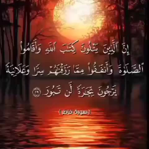 سرکتاب و استخاره|خدمات پذیرایی، مراسم|شهرضا, |دیوار