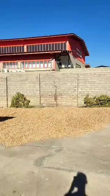 کارگاه بادام زمینی و تخمه|حراج|بوکان, |دیوار