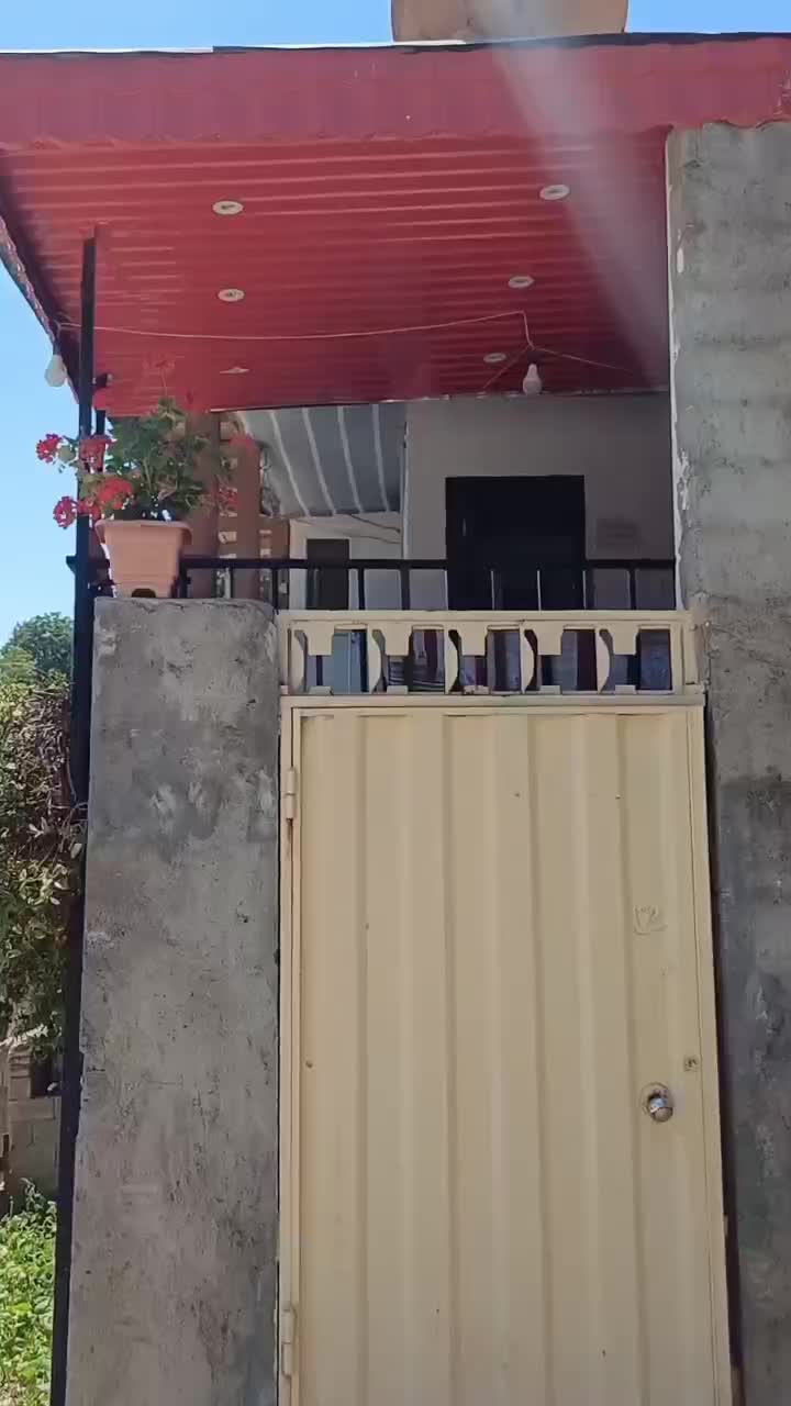 خانه سنتی طرح چوب|اجارهٔ کوتاهمدت آپارتمان و سوئیت|کیاسر, |دیوار