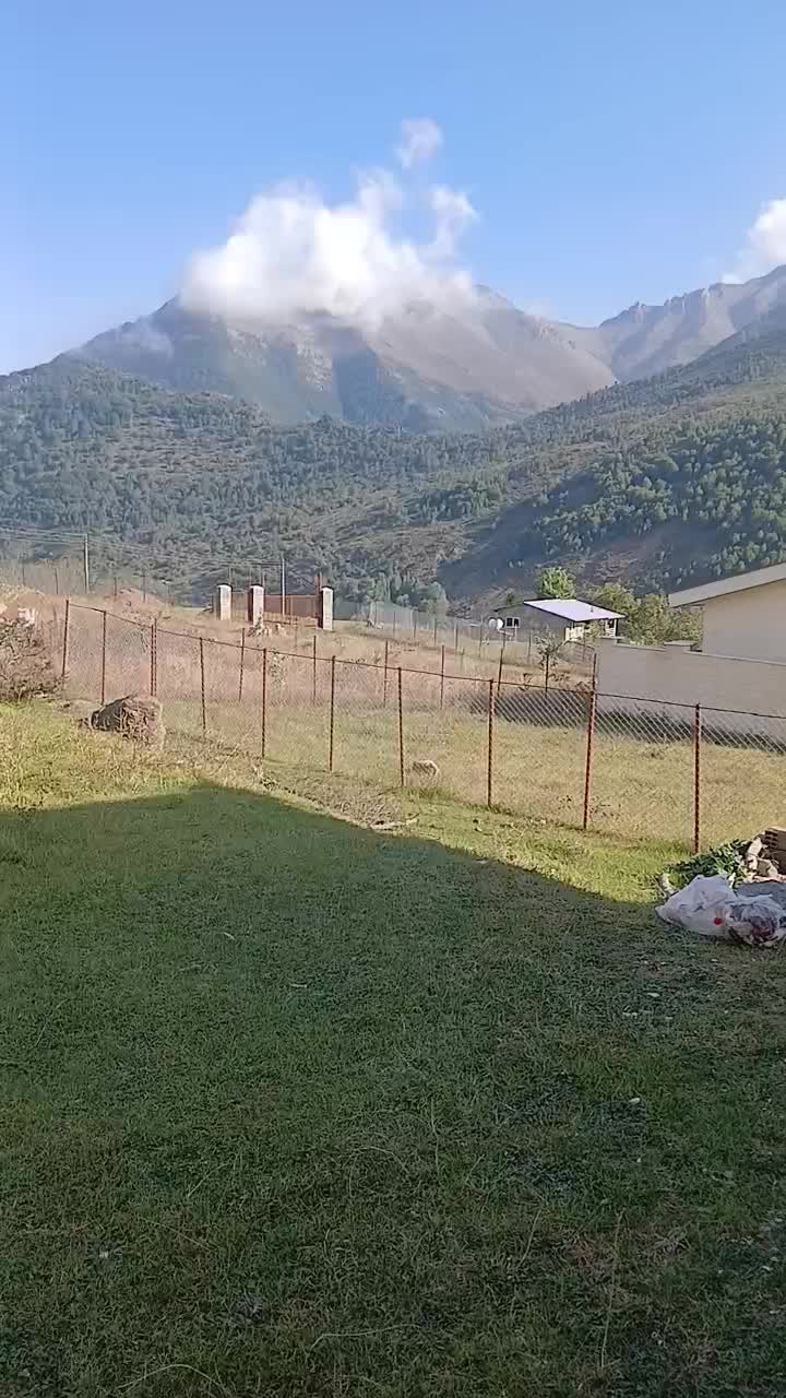 ویلا اجاره ایی روزانه|اجارهٔ کوتاه‌مدت آپارتمان و سوئیت|مرزن‌آباد, |دیوار