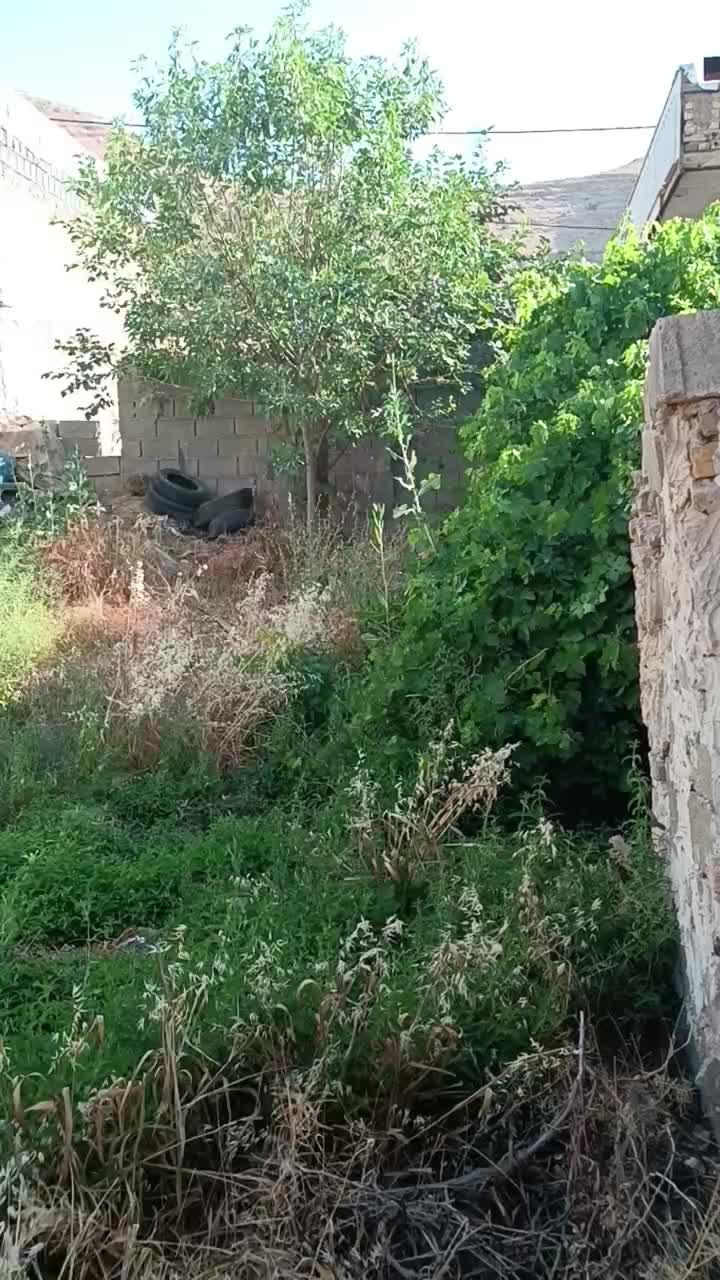 فروش زمین ۲۳۰ متری در برمشور علیا|فروش زمین و ملک کلنگی|شیراز, برمشور علیا|دیوار