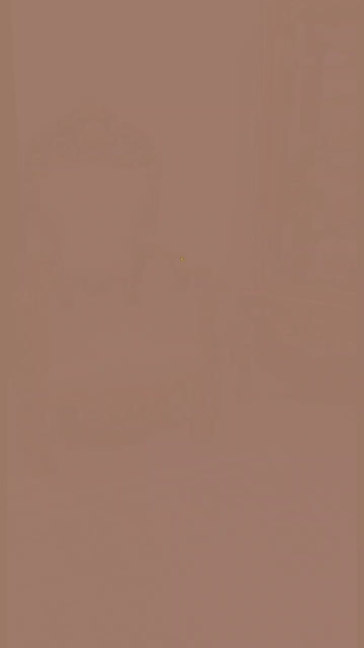 مبل سلطنتی کلاسیک مصری /اقساطی|مبلمان خانگی و میز عسلی|رباطکریم, رباطکریم|دیوار