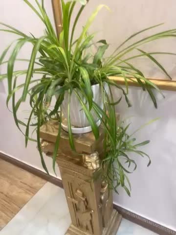 گل طبیعی|گل و گیاه طبیعی|نهاوند, |دیوار