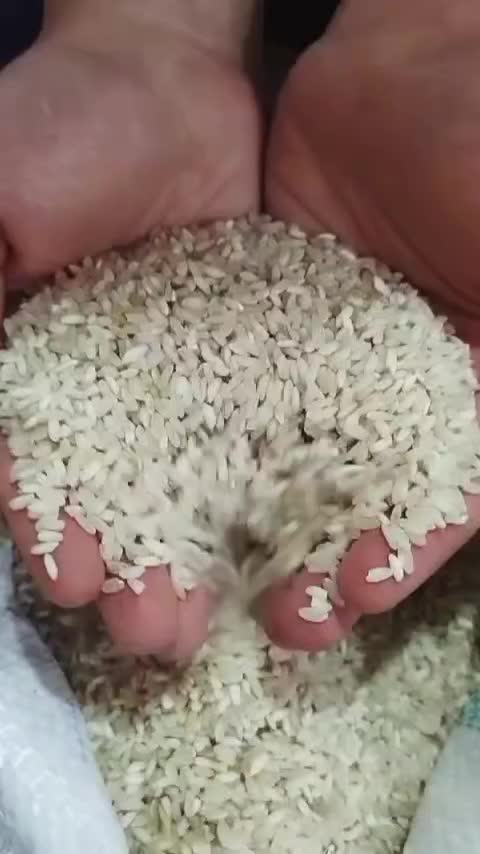 برنج عنبر بو درجه ۱ تازه|خوردنی و آشامیدنی|بهبهان, |دیوار