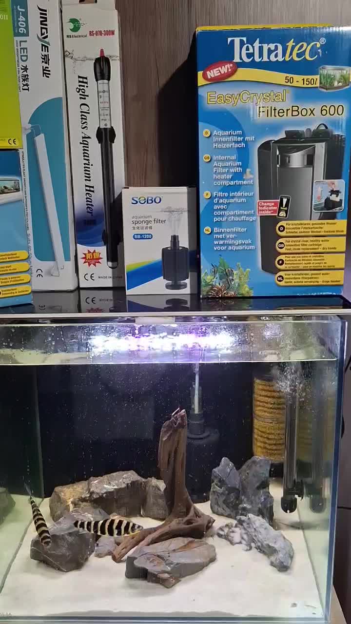 آکواریوم با کلیه تجهیزات|ماهی|ارومیه, |دیوار