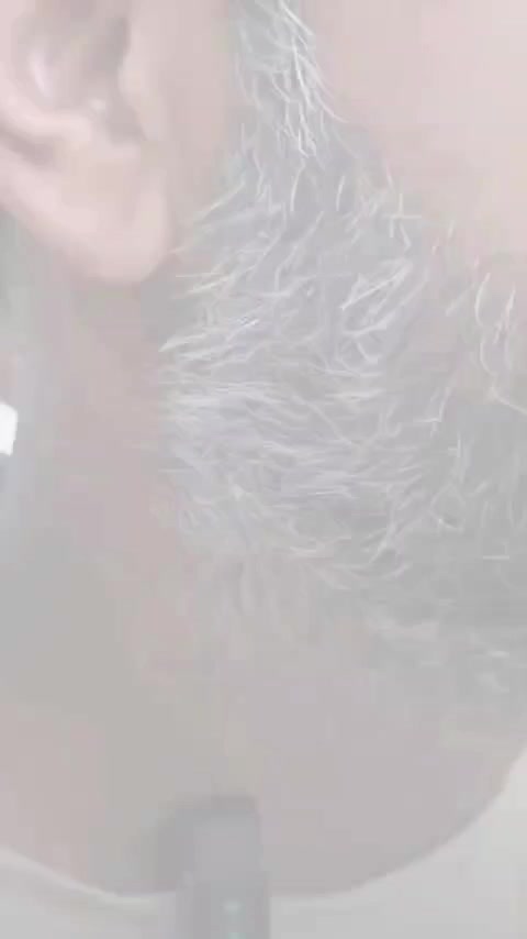 شامپو رنگ ژلاتینی رفع سفیدی مو سر|آرایشی، بهداشتی، درمانی|نورآباد, |دیوار