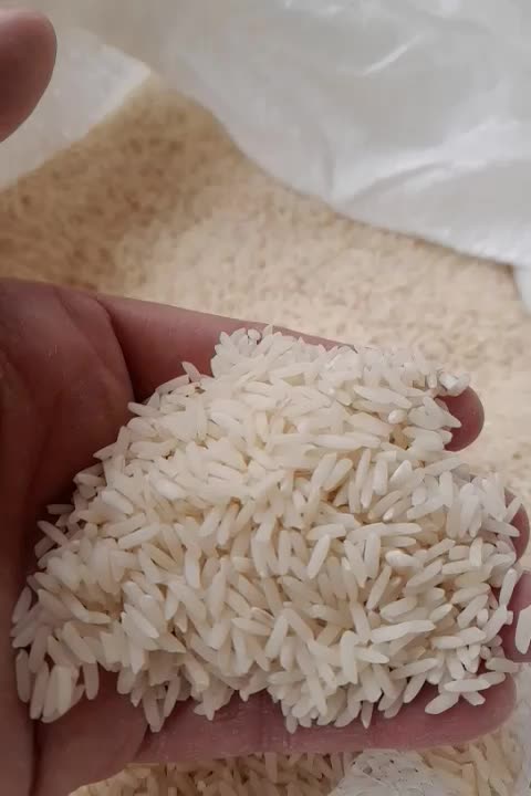 هاشمی   ۲۷کیلو تازه کوبیده از دست کشاورز|خوردنی و آشامیدنی|رشت, پل تالشان|دیوار