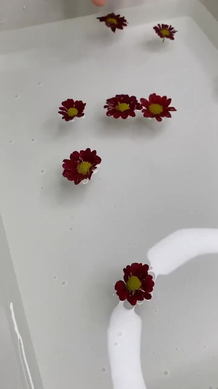 فشیال و اسکراب اسکالپ بطور تخصصی|خدمات آرایشگری و زیبایی|سبزوار, کاشفی شمالی (دادگستری)|دیوار