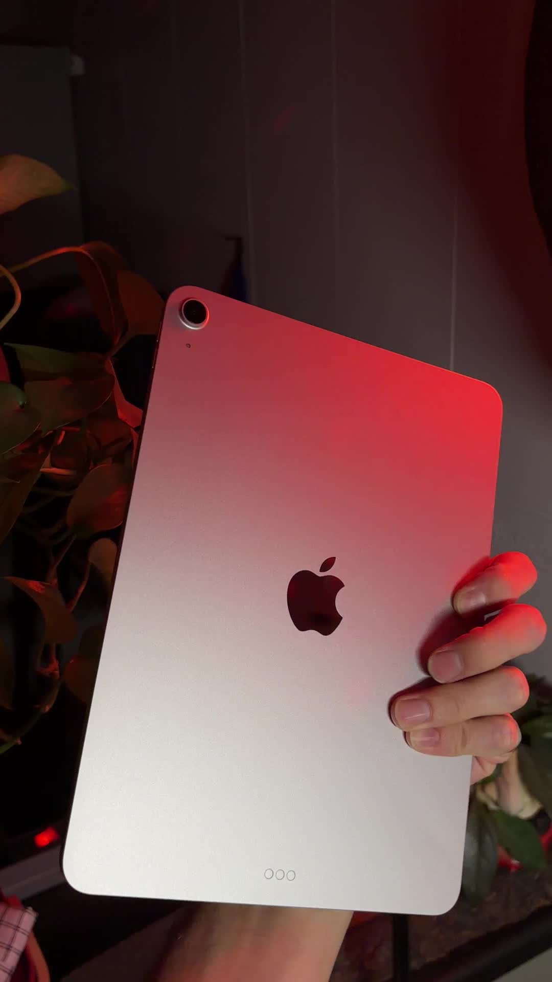 Ipad air m3 2025 11in|تبلت|تهران, درختی|دیوار