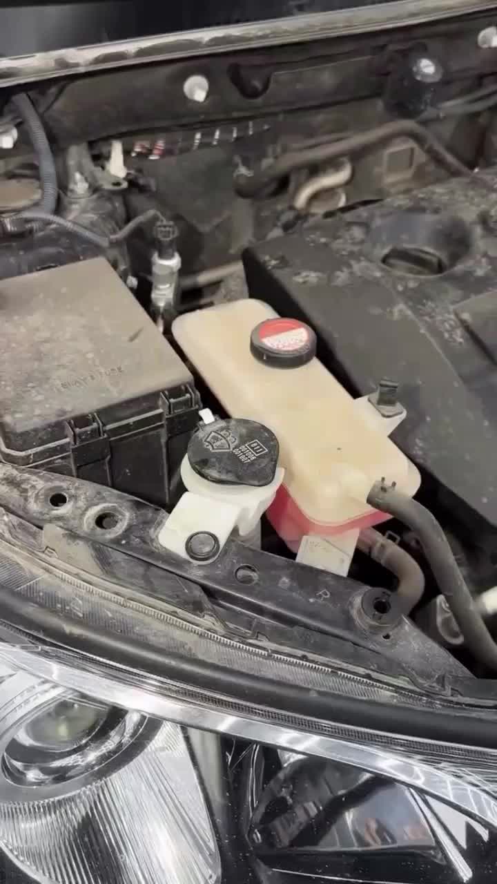 پولیش ، سرامیک،صفرشویی ، دیتیلینگ خدمات در محل|خدمات موتور و ماشین|تهران, علم و صنعت|دیوار