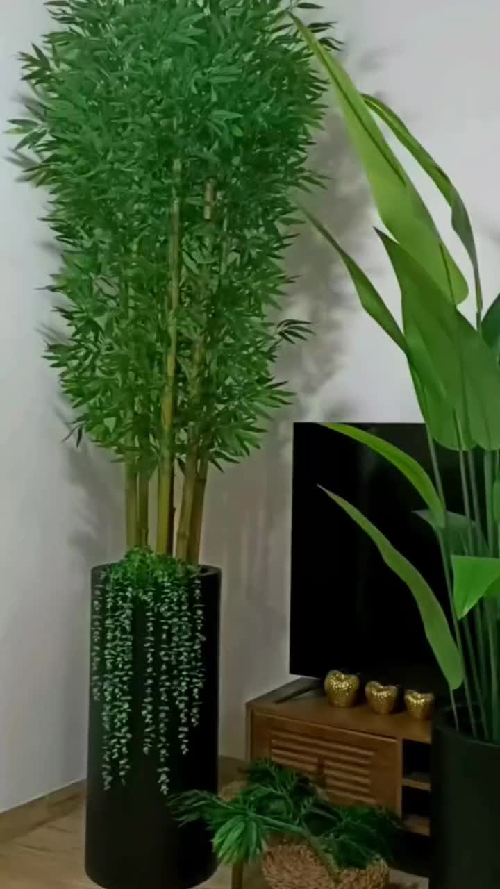تولید درختچه های بامبو در سایزهای ۱۳۰تا۲۲۰سانتی|گل مصنوعی|رشت, کوی حسینی|دیوار