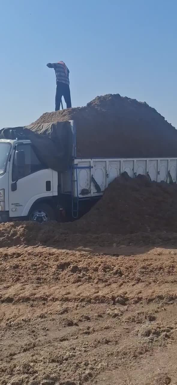 کاه نیشکر|خدمات باغبانی و درختکاری|کاشان, باغ فین|دیوار