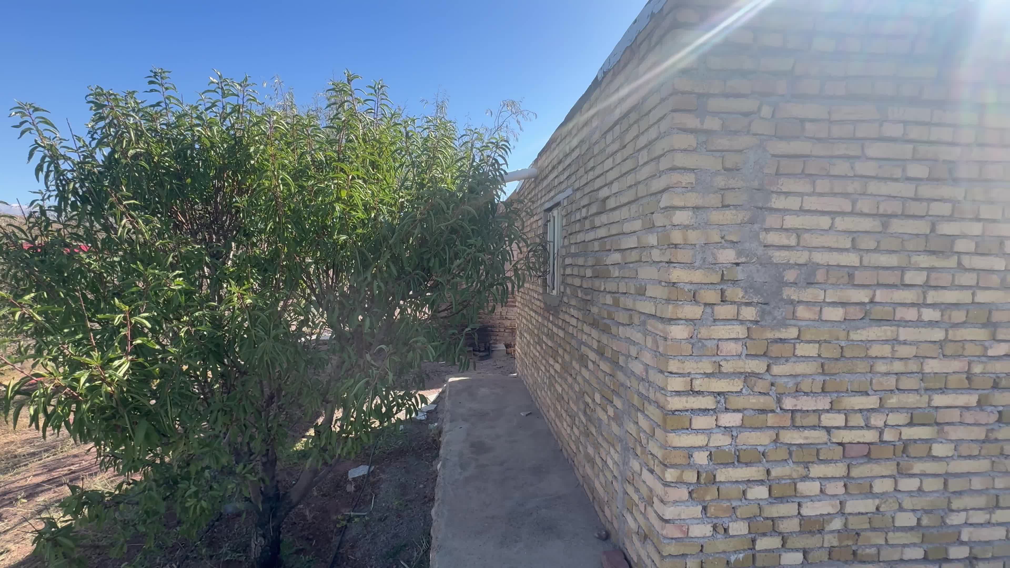 باغ واقع در جلفا|فروش زمین و ملک کلنگی|جلفا, |دیوار