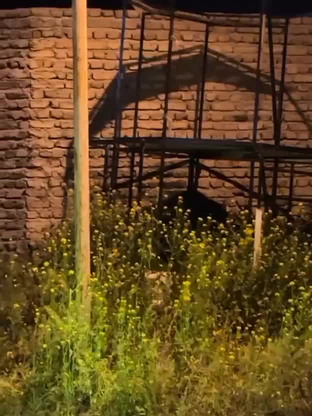 سمند دوگانه سوز|خودرو سواری و وانت|ماکو, |دیوار